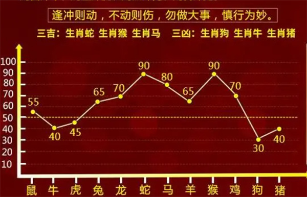 一肖一码中,精选解释解析落实