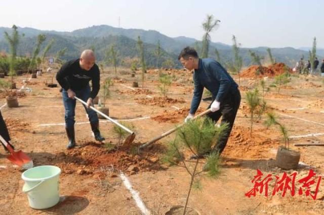 广东宏鑫矿山有限公司，探索矿业领域的卓越之路